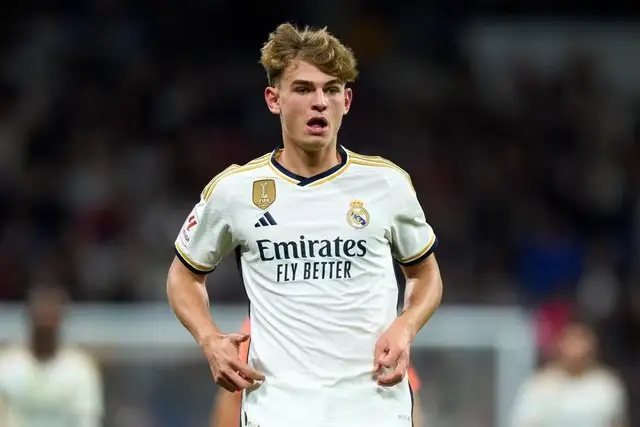 不仅展示了 不仅展示了