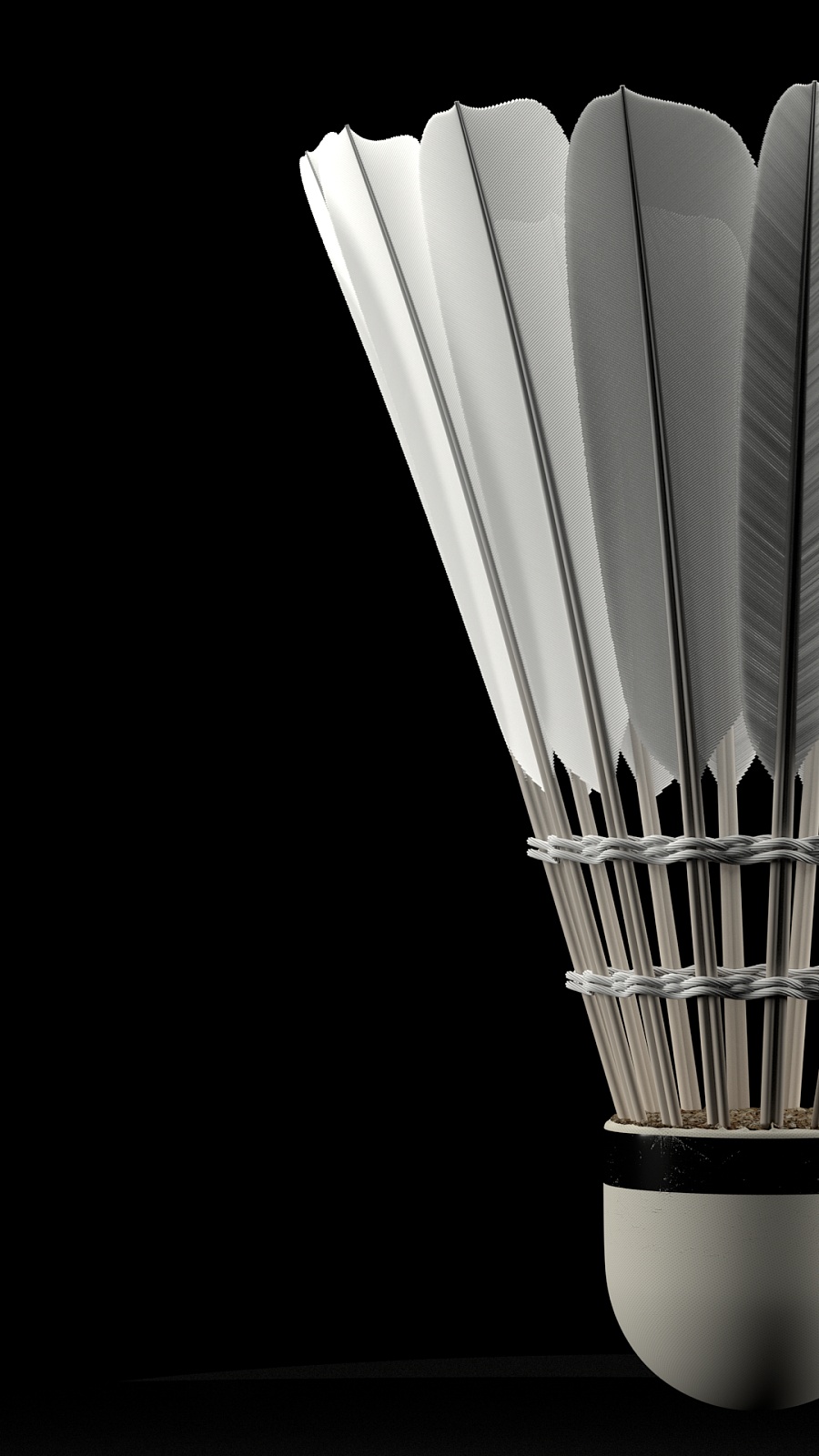 这也为他们 这也为他们